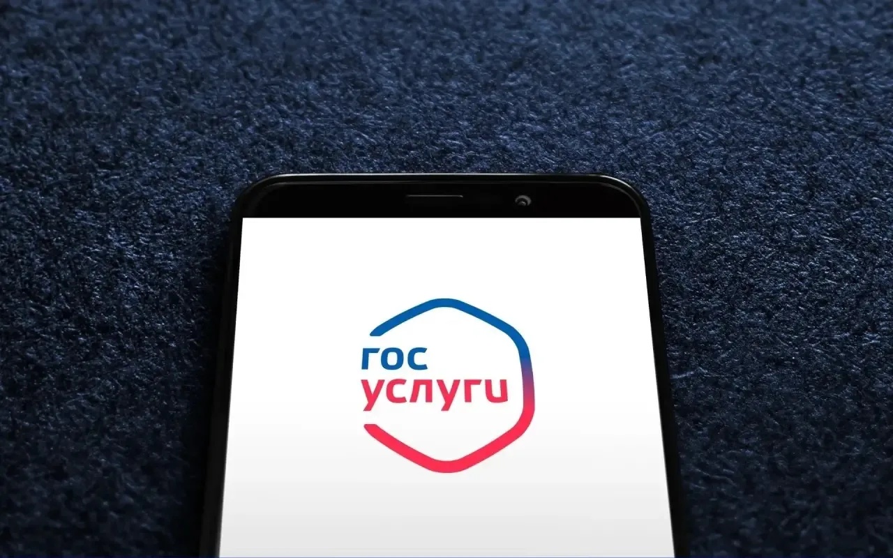 Госуслуги в Дагестане: цифровизация для людей и безопасность данных